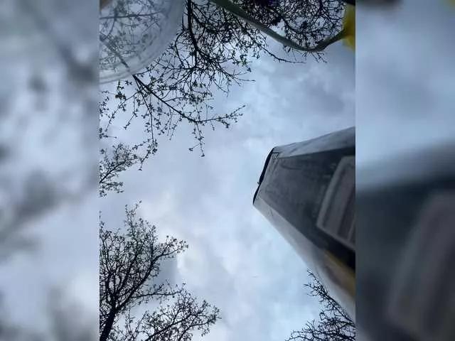 annie-fleur on BongaCams 