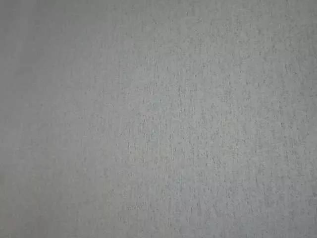 Offline Gospozha-77 on BongaCams