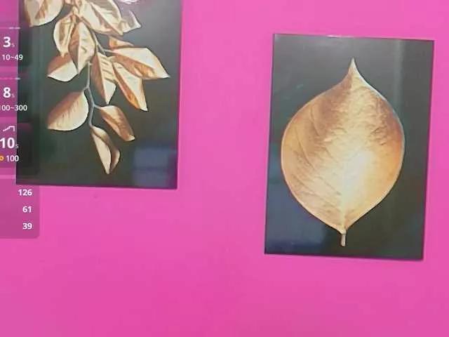 Offline innocenthazel on BongaCams