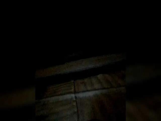 Offline Iriska2025 on BongaCams