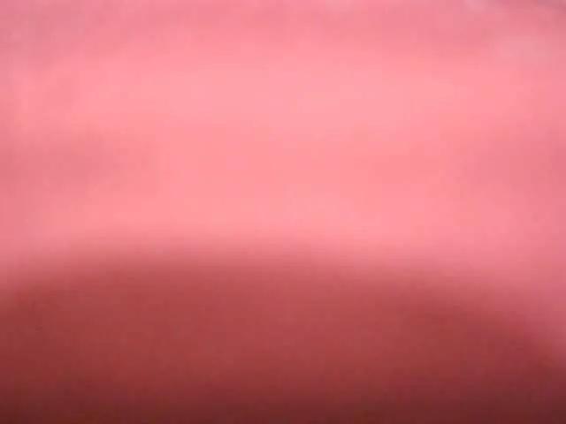 Offline Sami1996 on BongaCams