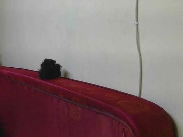 SexxyBarbie on BongaCams 