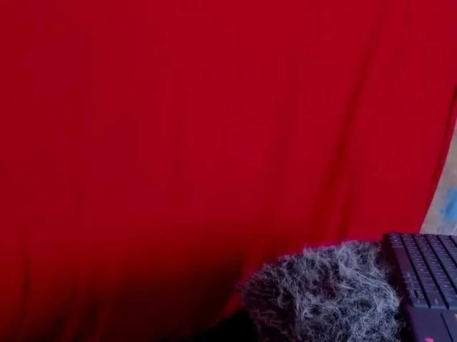 Offline zoe-roux21 on BongaCams