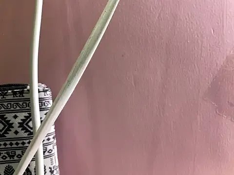 Freechat Fantastic_ruby on StripChat